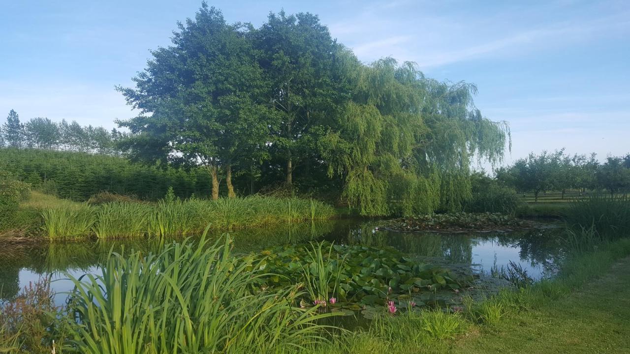 Agermosegaard Appartement Assens Buitenkant foto